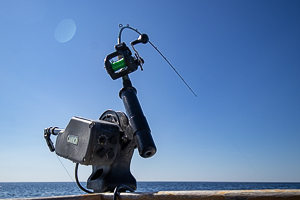 Down rigger with fishing pole for salmon fishing