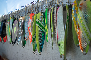 multi color fishing spoons hanging.